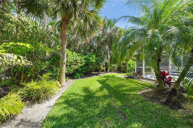 view of yard with a lanai