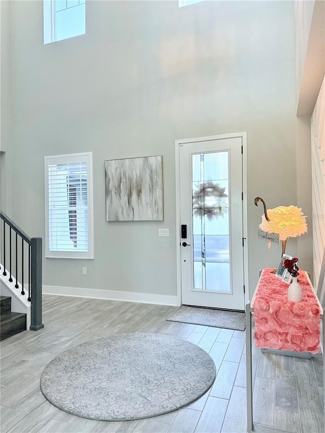 foyer entrance with a high ceiling and hardwood / wood-style flooring