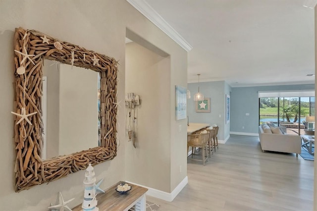 hall with crown molding and light hardwood / wood-style floors