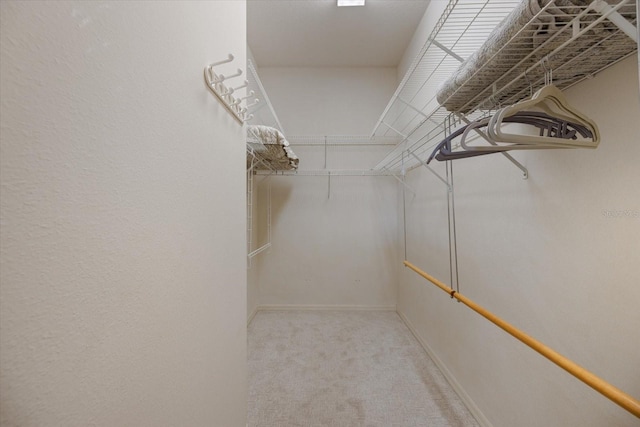 spacious closet featuring carpet floors