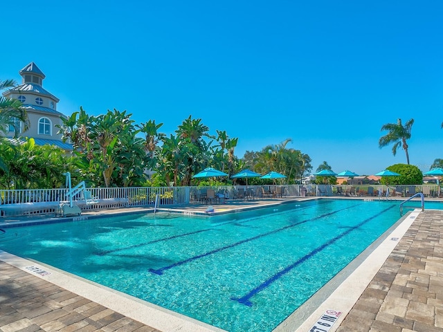 view of pool featuring a patio