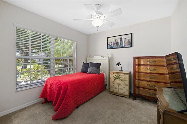 5194 Layton Dr, Venice, FL 34293 - photo 10