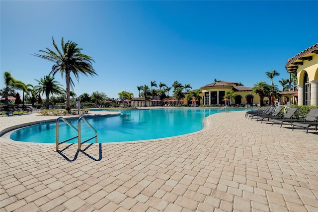 view of pool featuring a patio area