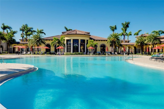 view of swimming pool with a patio area