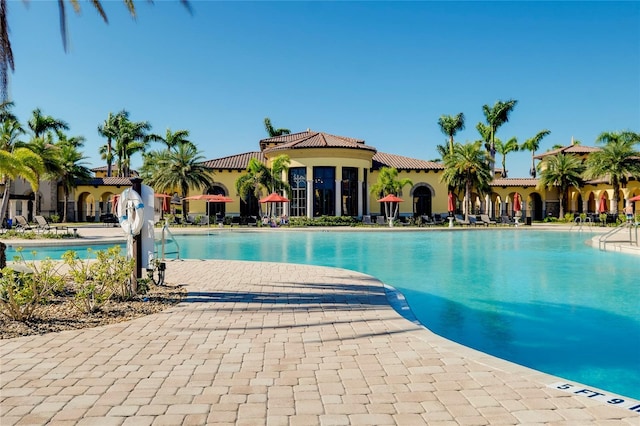 view of swimming pool with a patio