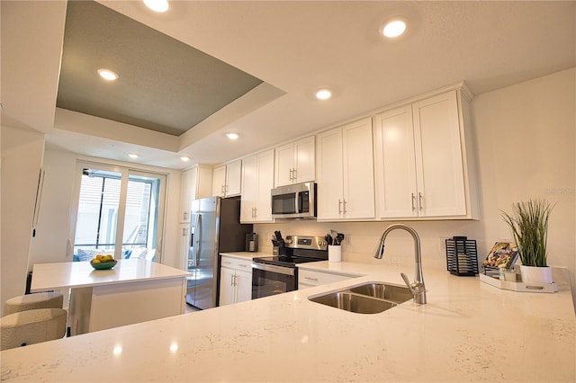 kitchen featuring appliances with stainless steel finishes, a raised ceiling, a sink, and recessed lighting