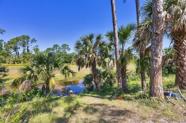 view of yard featuring a water view