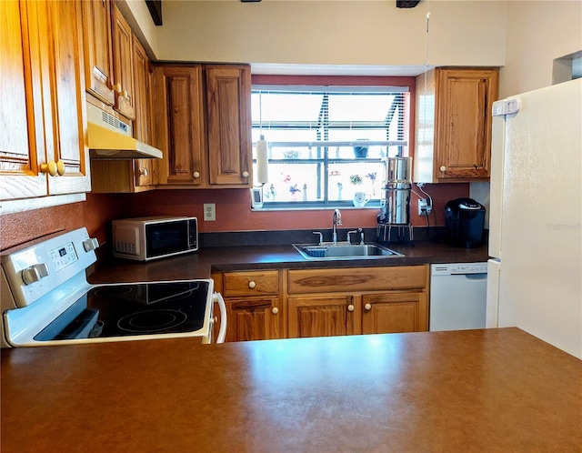 kitchen featuring dishwasher, sink, and electric range