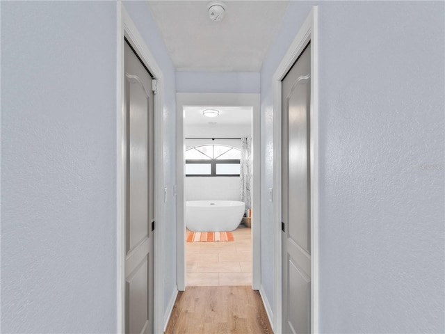 corridor featuring light wood-style floors