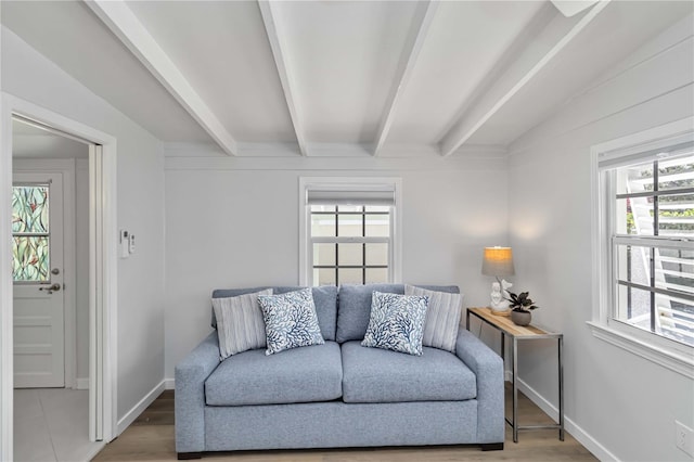 living room featuring beam ceiling, a wealth of natural light, and wood finished floors