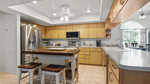 kitchen featuring light brown cabinetry, sink, stainless steel appliances, and a raised ceiling