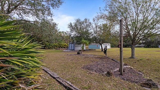 view of yard featuring a shed