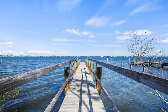 dock area featuring a water view