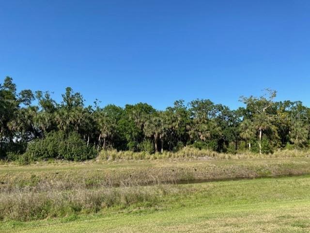 view of local wilderness