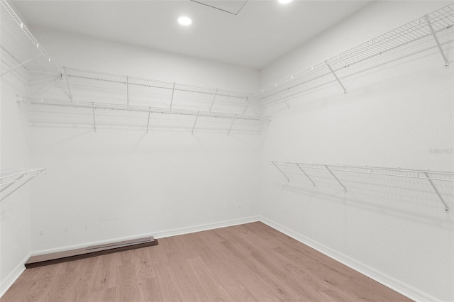 213 Venice Palms Blvd, Venice, FL 34292 - walk in closet featuring wood finished floors