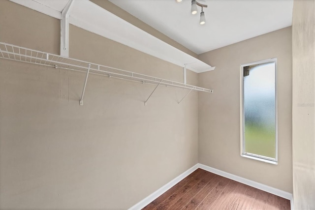 walk in closet with wood finished floors