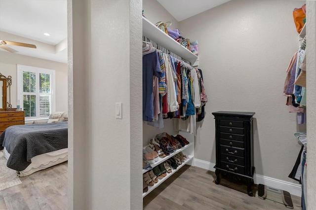 spacious closet featuring ceiling fan and wood finished floors