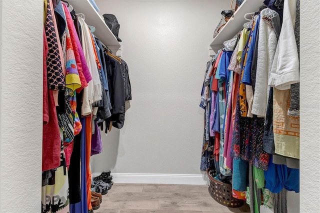 walk in closet featuring wood finished floors