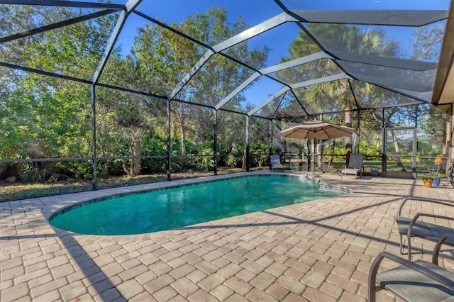 pool with a patio and a lanai