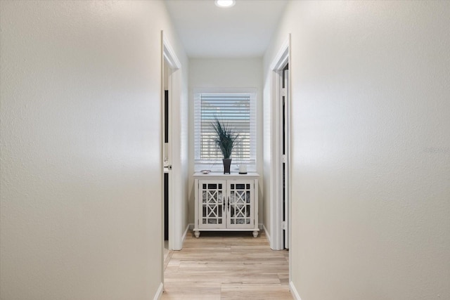 929 The Rialto, Venice, FL 34285 - hall featuring light wood-type flooring and baseboards
