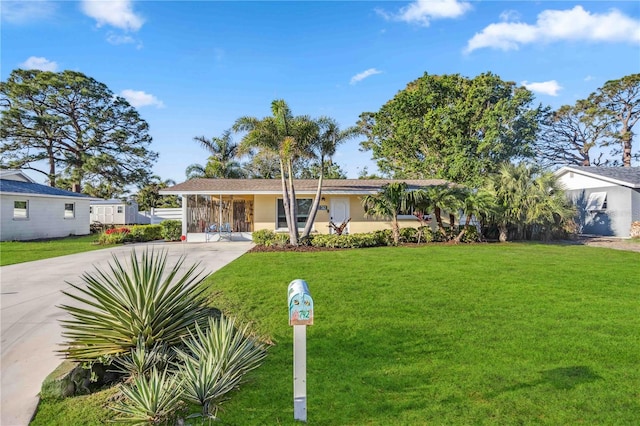 ranch-style home featuring concrete driveway, a front lawn, an attached carport, and stucco siding