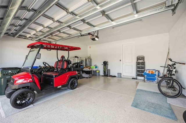 13867 Vadini St, Venice, FL 34293 - garage featuring a garage door opener