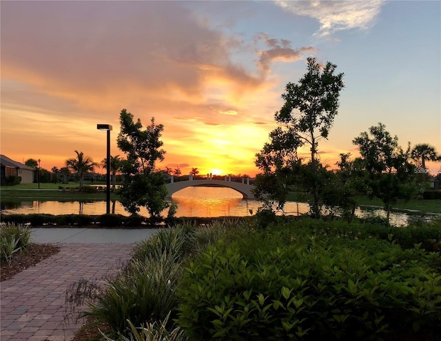 13867 Vadini St, Venice, FL 34293 - view of water feature