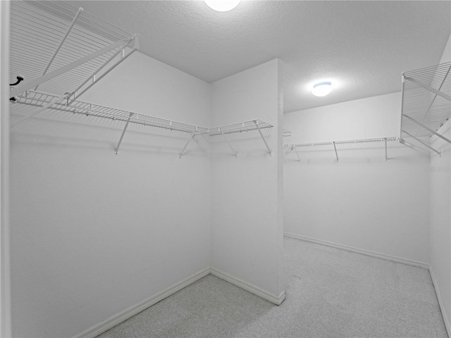 walk in closet with carpet flooring