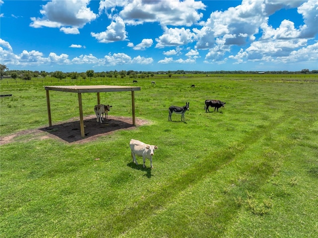 view of yard with a rural view