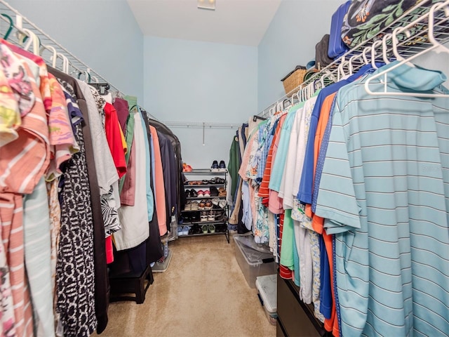 walk in closet with carpet floors