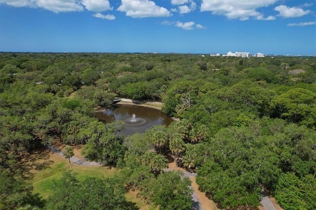 birds eye view of property featuring a water view and a forest view