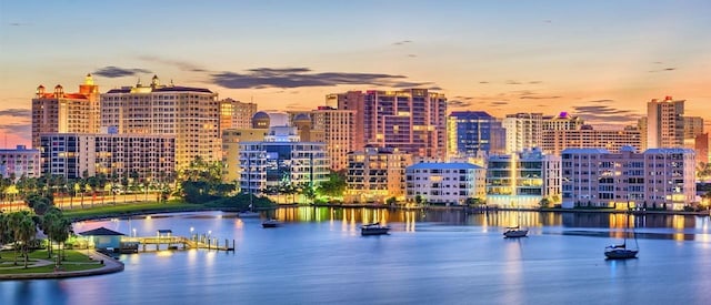 water view featuring a view of city