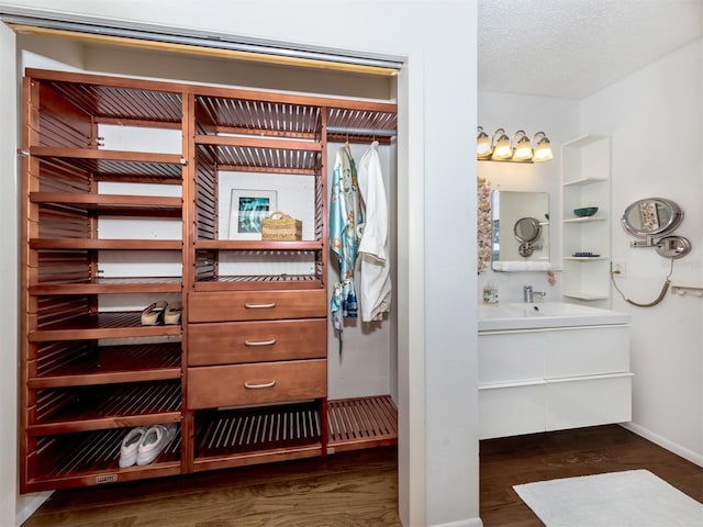 closet featuring a sink