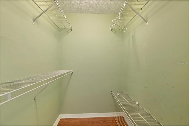 454 Cerromar Rd Unit 174, Venice, FL 34293 - view of spacious closet