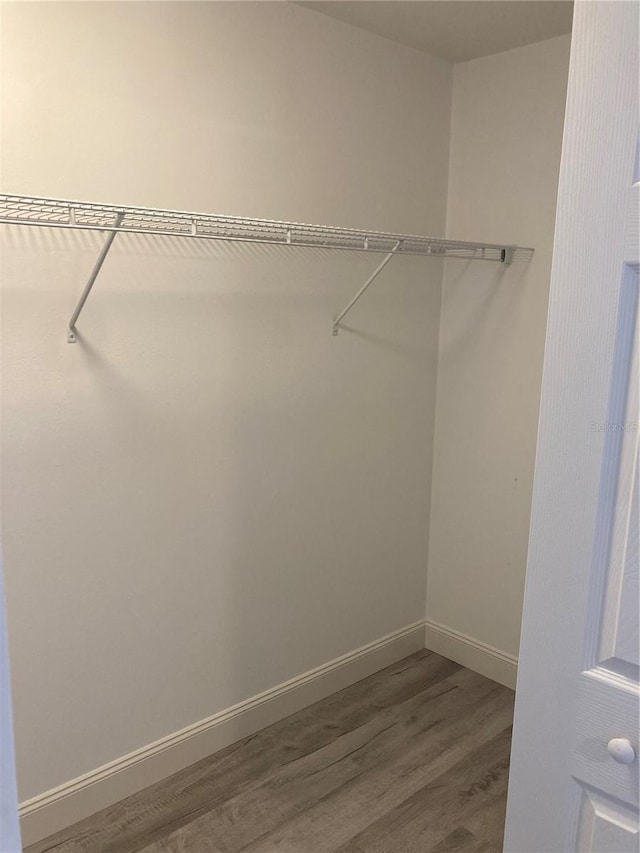 walk in closet featuring wood finished floors