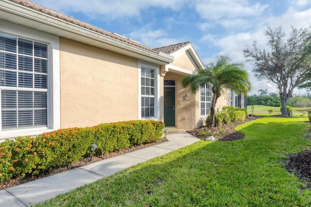 doorway to property with a yard and stucco siding