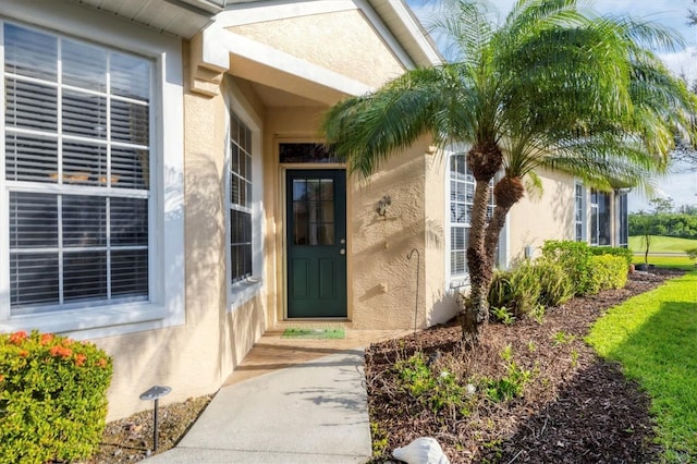 doorway to property with stucco siding