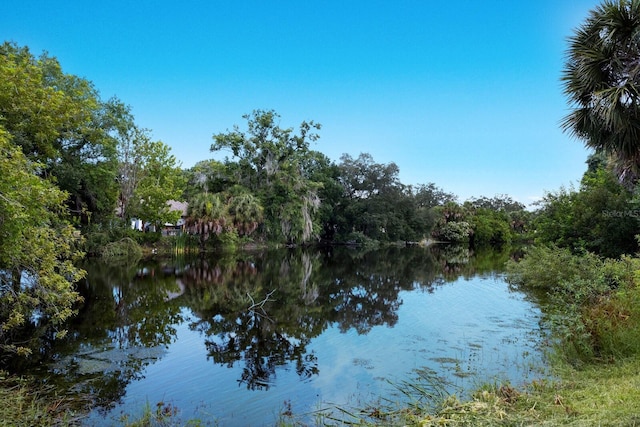 water view with a wooded view