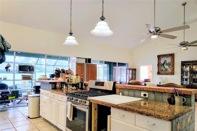 23495 Altman Ave, Punta Gorda, FL 33980 - kitchen with plenty of natural light, open floor plan, appliances with stainless steel finishes, and a ceiling fan