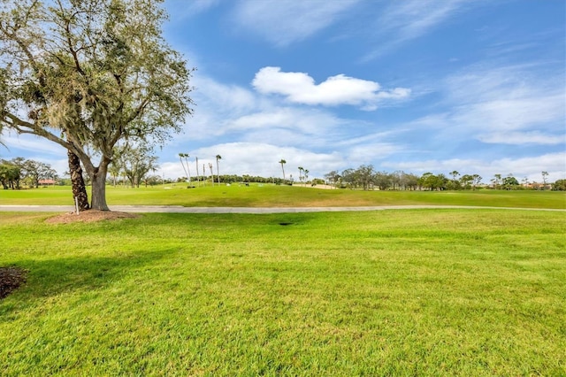 view of community with a yard