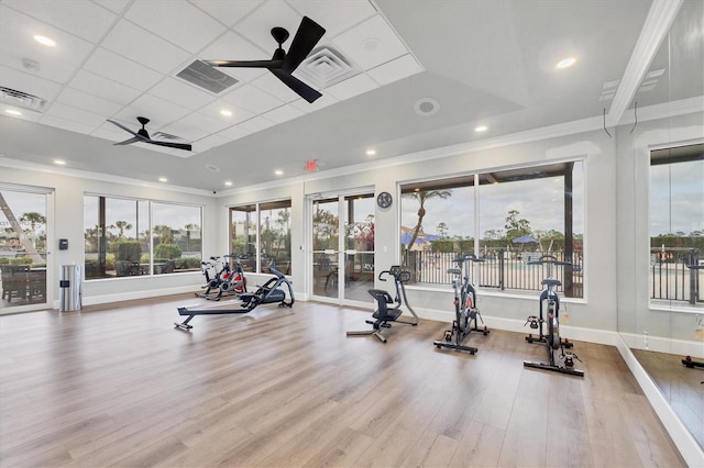 workout area with light wood-type flooring, visible vents, crown molding, and ceiling fan