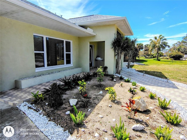 doorway to property with a yard and stucco siding