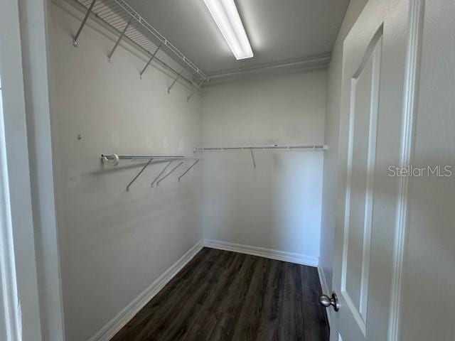 walk in closet featuring dark wood-style floors