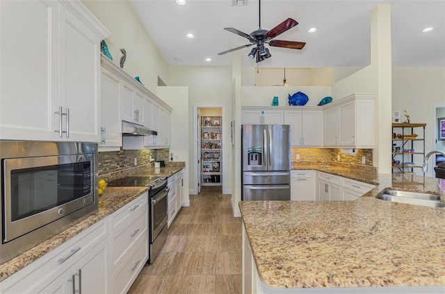 kitchen with white cabinets, light stone counters, appliances with stainless steel finishes, under cabinet range hood, and a sink