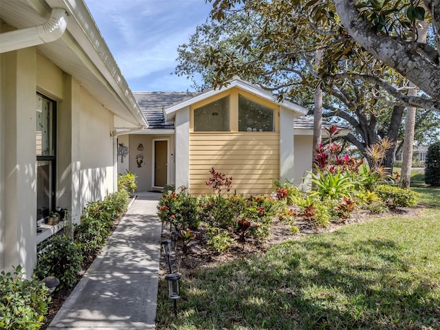 view of exterior entry with a yard and stucco siding