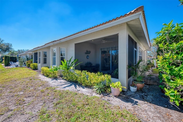 rear view of house featuring a yard, a ceiling fan, a sunroom, and stucco siding