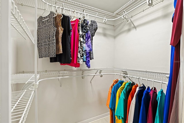 view of spacious closet