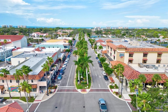 bird's eye view