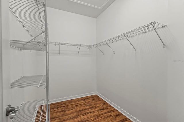 spacious closet with dark wood-type flooring