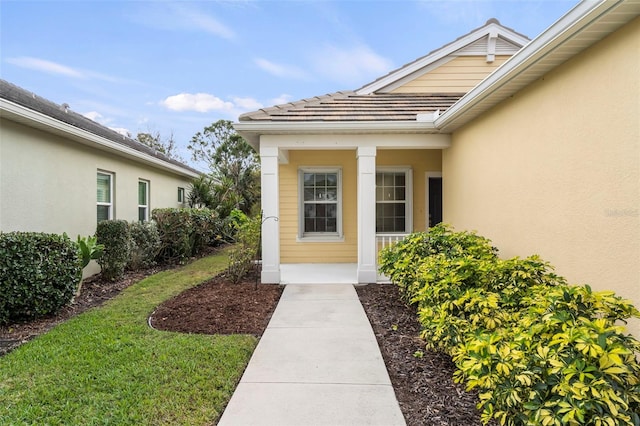 doorway to property featuring stucco siding